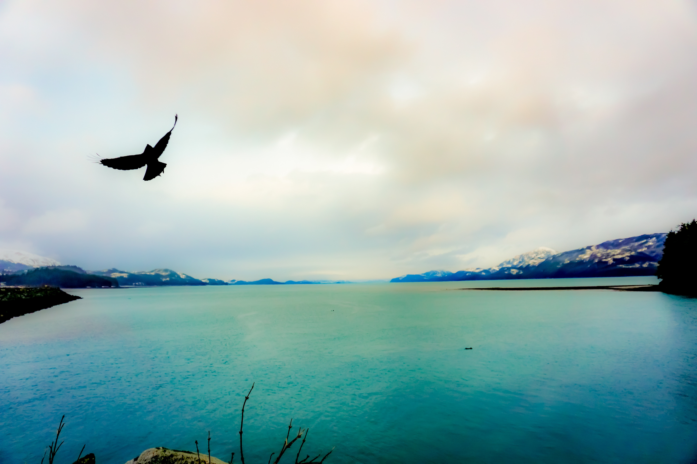 cordova, alaska 03.webp